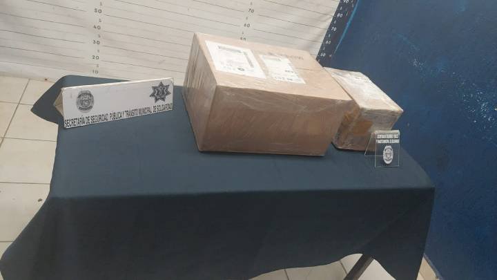 Hallazgo de 3 Kilogramos de Drogas en Compañía de Paquetería de Playa del Carmen