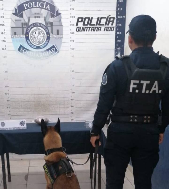Confiscación de posibles narcóticos en Playa del Carmen
