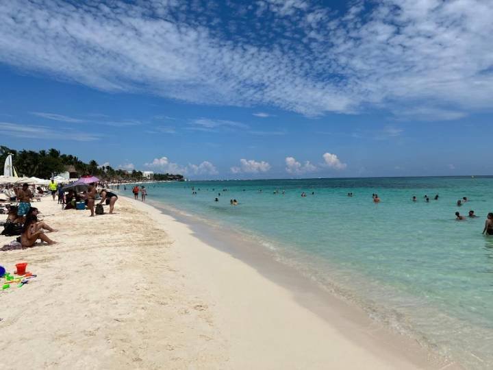 Resistencia del Ayuntamiento de Playa del Carmen ante la Semarnat