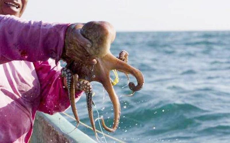 Pesca