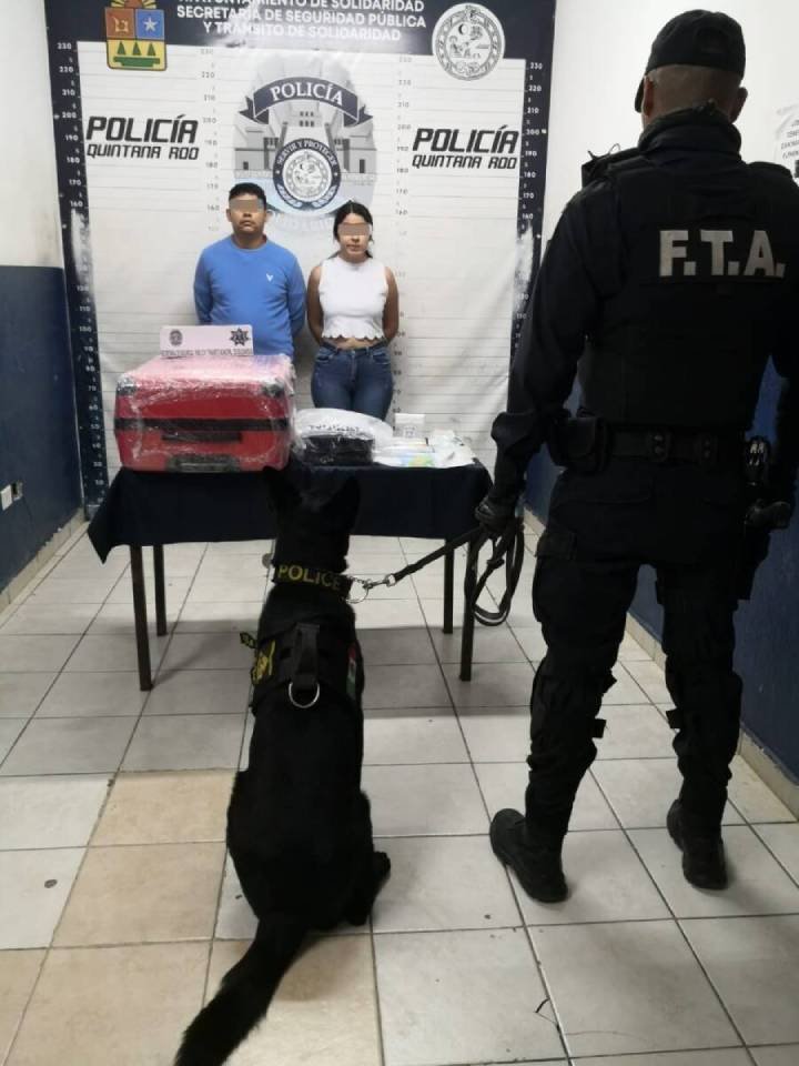 911 salva tu vida
