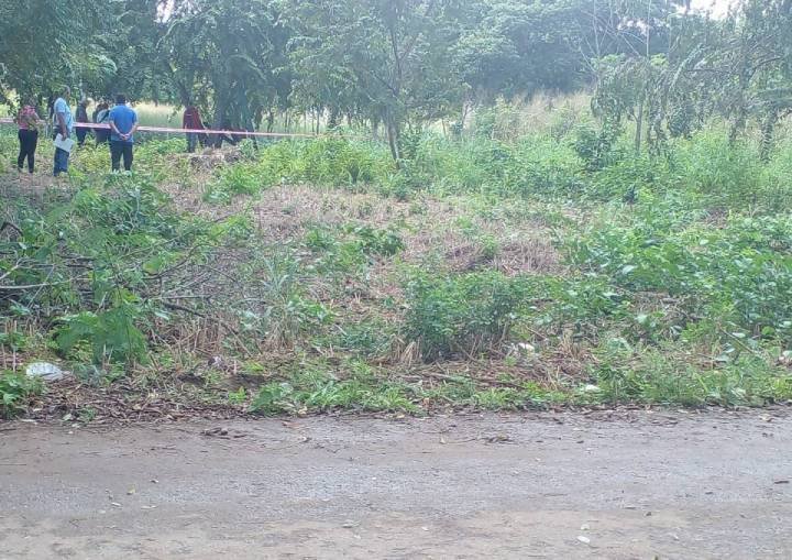 Descubren un Trágico Hallazgo en Pucté: Persona Encontrada sin Vida, Colgada de un Árbol