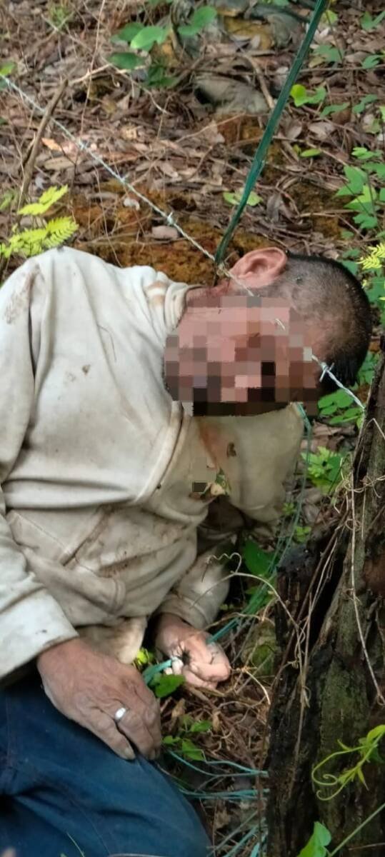 Hallazgo Perturbador en Proximidades de la Estación de Policía Municipal en Bacalar