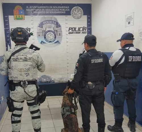 Operativo Policial en Playa del Carmen Resulta en el Decomiso de Narcóticos y la Detención de un Sospechoso