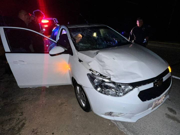 Tragedia en el Tren Maya: Obrero Pierde la Vida en un Impactante Accidente con Vehículo de Turistas Holandeses