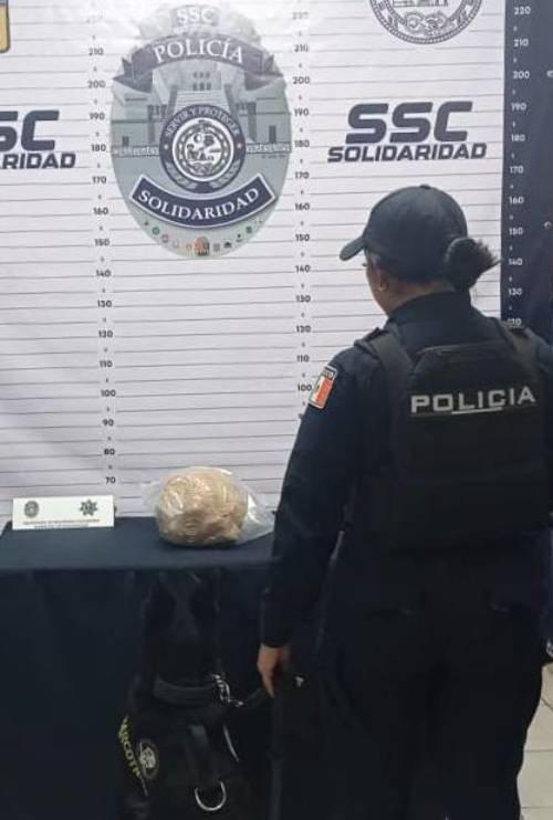 Hallan sustancia sospechosa en la colonia Centro de Playa del Carmen