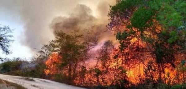 Acusan habitantes de Solidaridad abandono de autoridades ante incendios