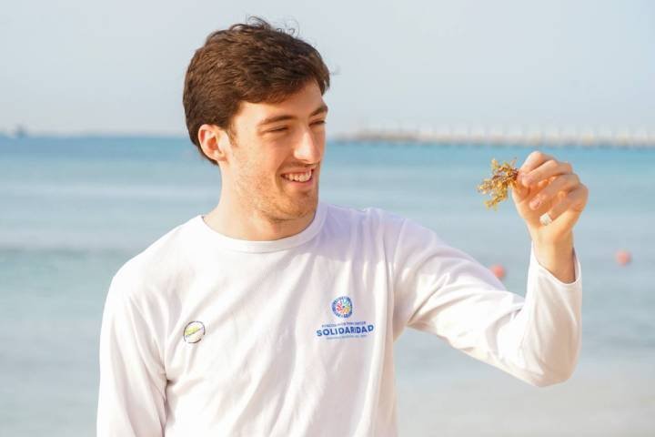 Apoyan proyecto para aprovechamiento del sargazo