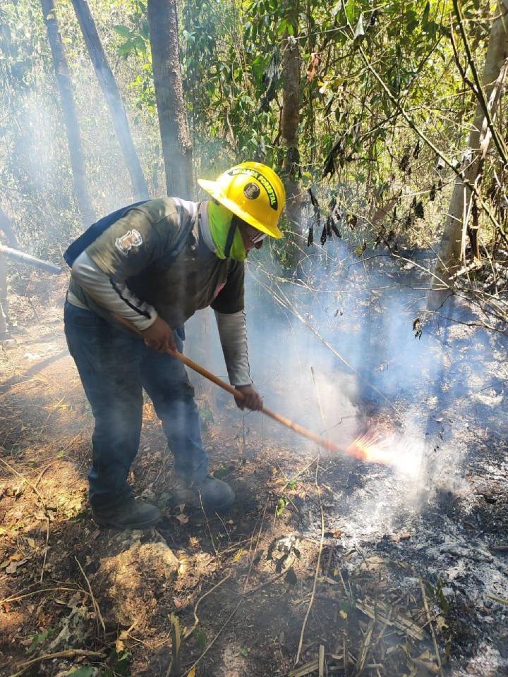 Importante: recomendaciones para quema controlada