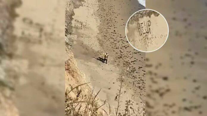 Surfista Rescatado en California Tras Escribir "AYUDA" con Piedras en la Playa
