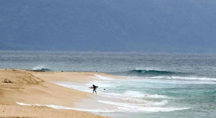 Tragedia en Hawai: Fatal Ataque de Tiburón a Surfista