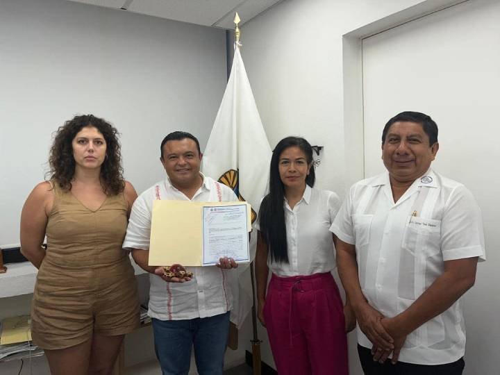 Frenan construcción en Playa Paraíso para proteger a tortuga marina