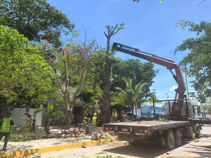 Gobierno y sector privado juntos en beneficio del medio ambiente