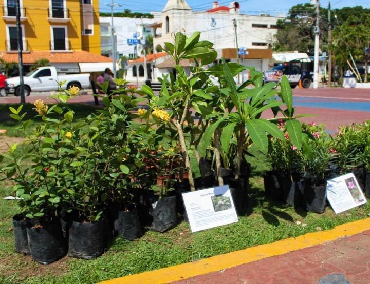 Kilo Verde y Croquetón llegará al Centro y Villas del Sol