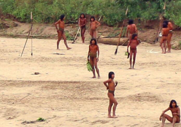 Publican Fotografías Exclusivas de una Tribu Indígena No Contactada en la Amazonía Peruana