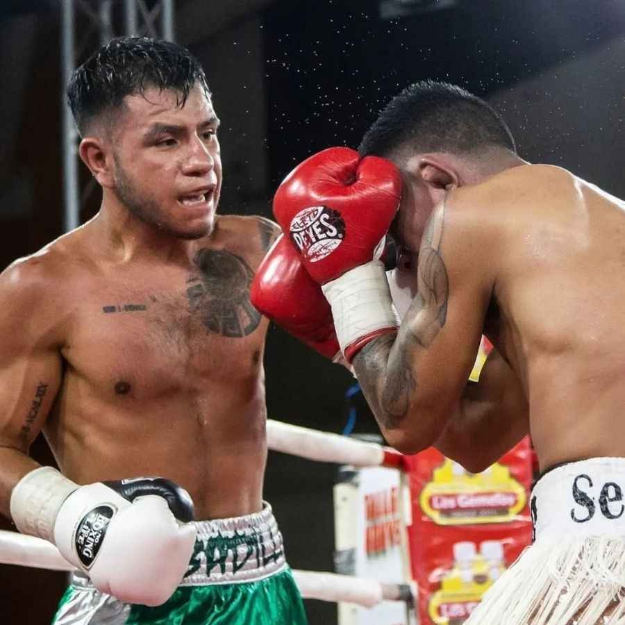 Riviera Maya: Playa del Carmen sede de un espectáculo boxístico nacional el 24 de Agosto