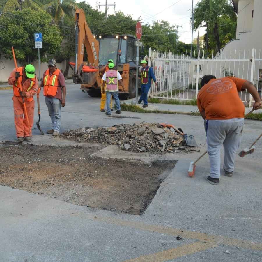 Avanza bacheo con fuerza todos los días en Playa del Carmen y Puerto Aventuras