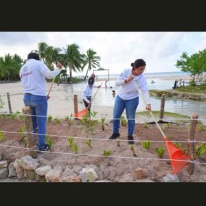 Restaura Gobierno de Solidaridad dunas en Punta Esmeralda y promueve el cuidado ambiental