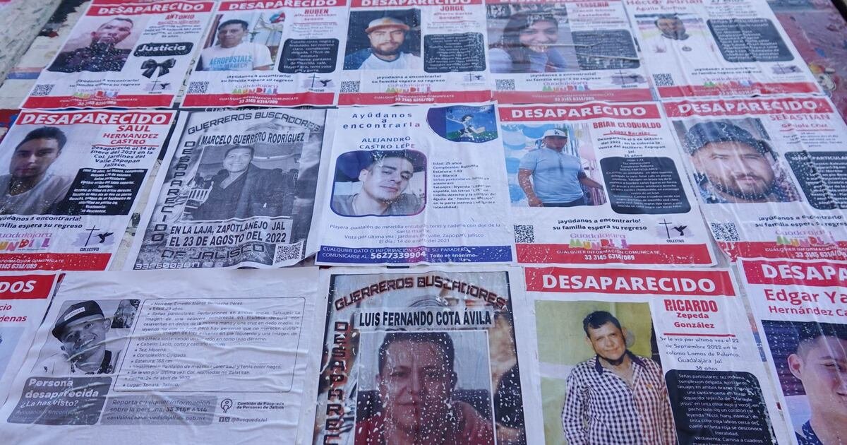 Pide destitución de funcionario de la ONU por investigar desapariciones en México – El Financiero