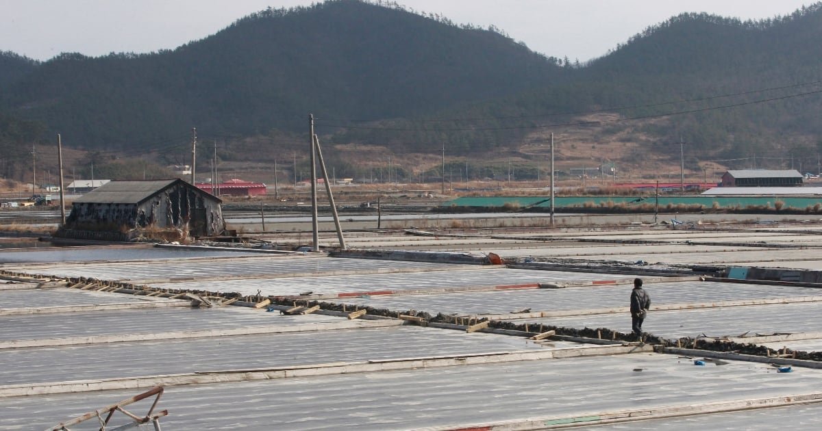 Prohíbe su importación por ‘trabajos forzados’ en granjas – El Financiero